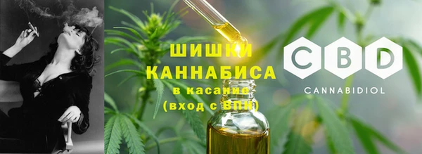прущие грибы Лихославль